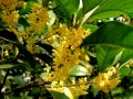 ��ľͼƬ002 (3)
