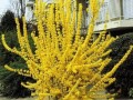 ��ľ002 (6)